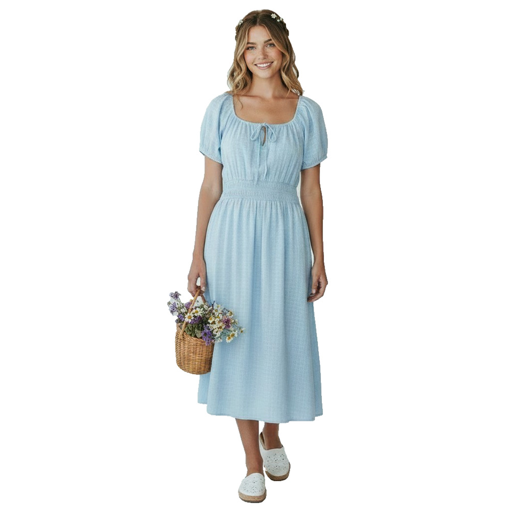 Japna Women XL Light Blue Cotton Balloon Sleeve Smocked Waist Midi Dress Cottage